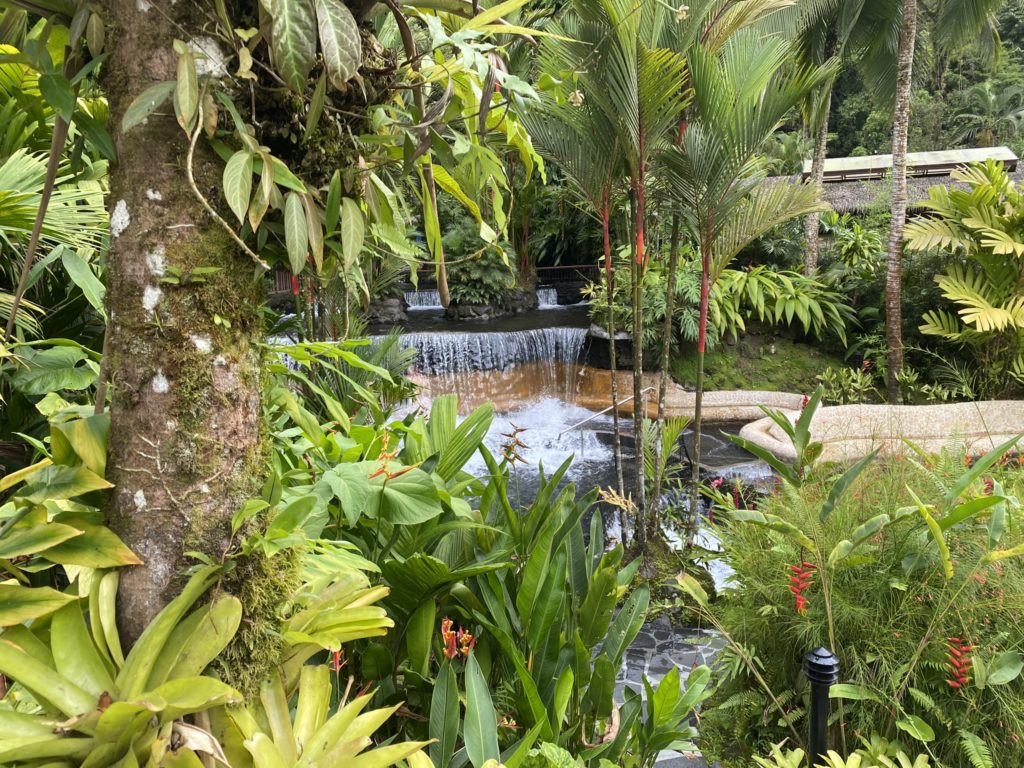 a waterfall in a tropical garden