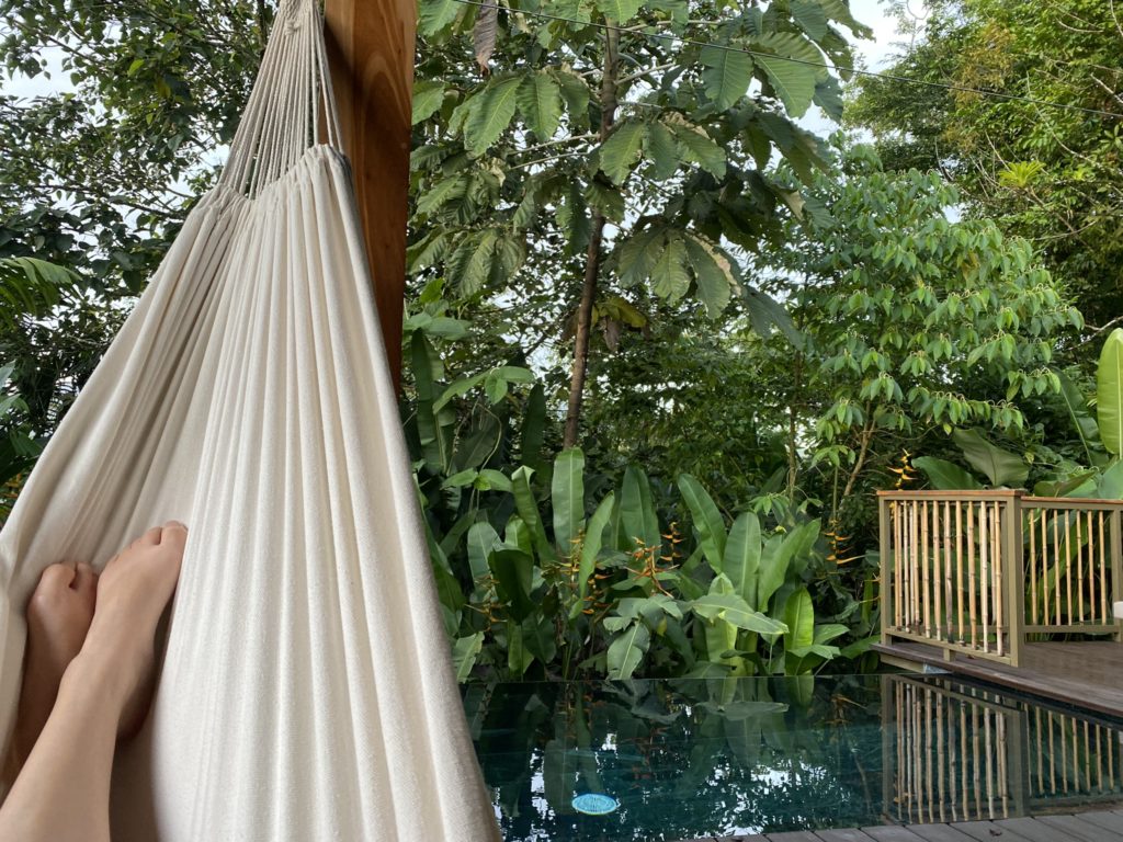 a hammock from a deck