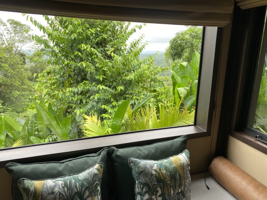 a window with a view of trees and a window