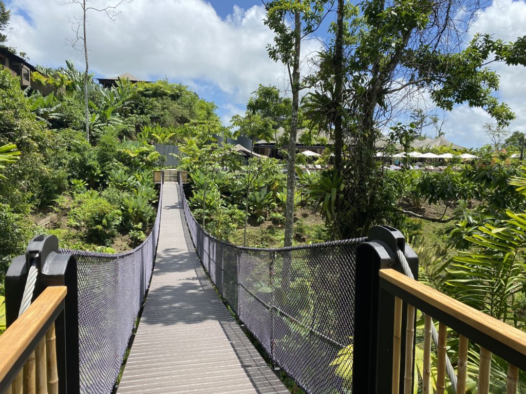 a bridge over a forest