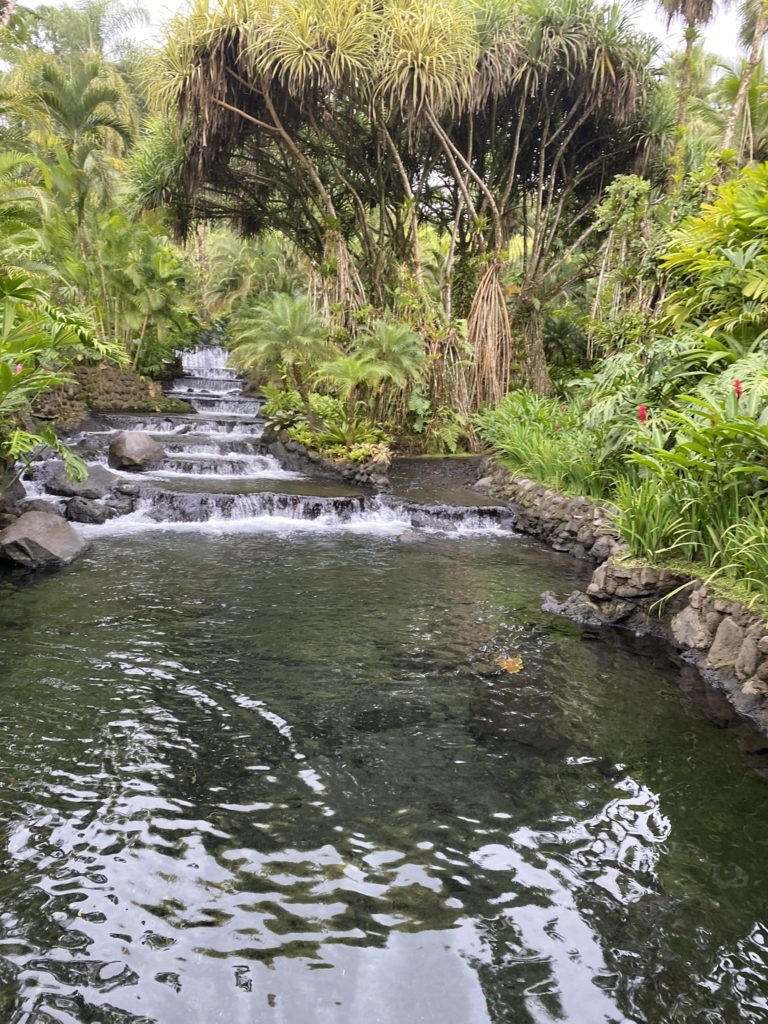 a waterfall in a tropical garden