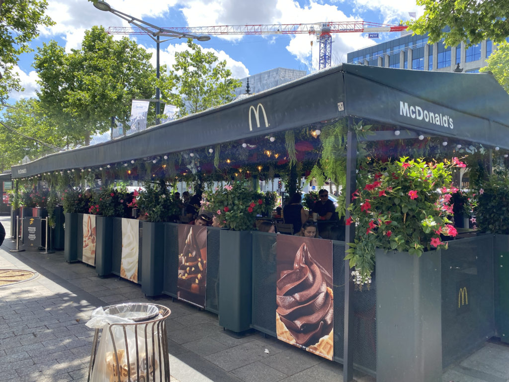a restaurant with flowers and plants