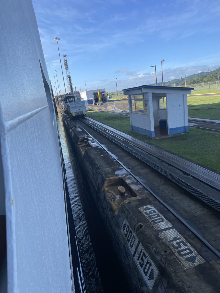 a train on the tracks