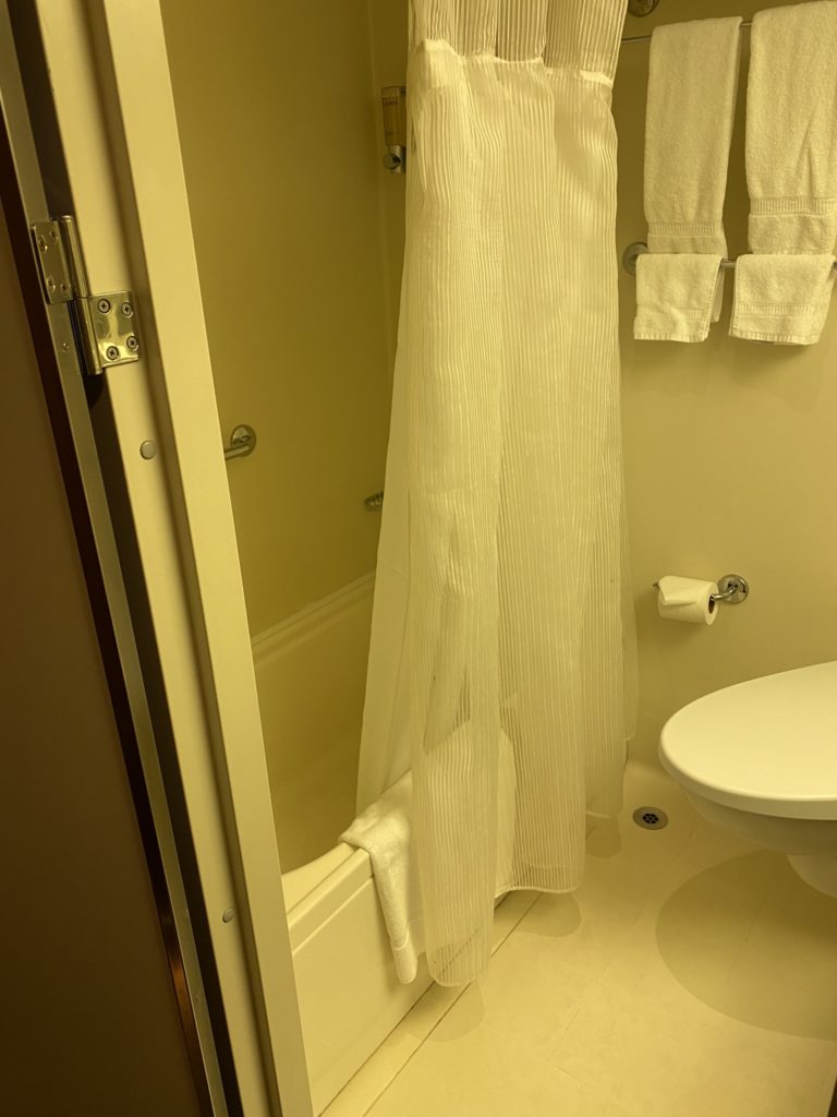 a shower curtain and a toilet