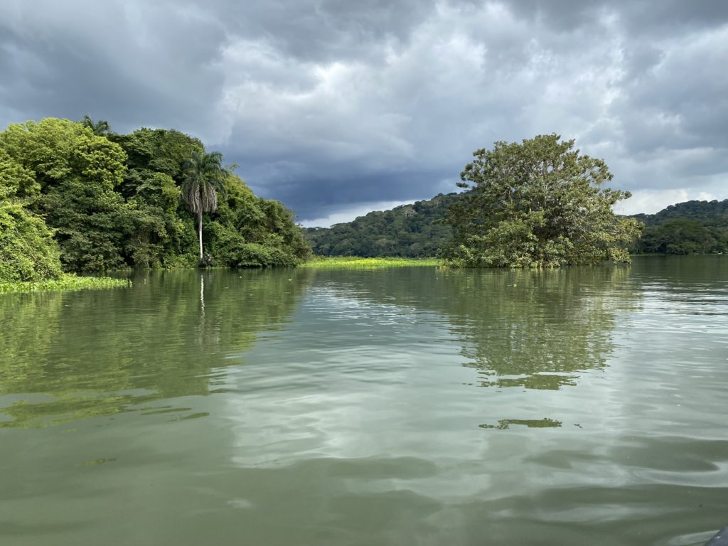 a body of water with trees and a cloudy sky