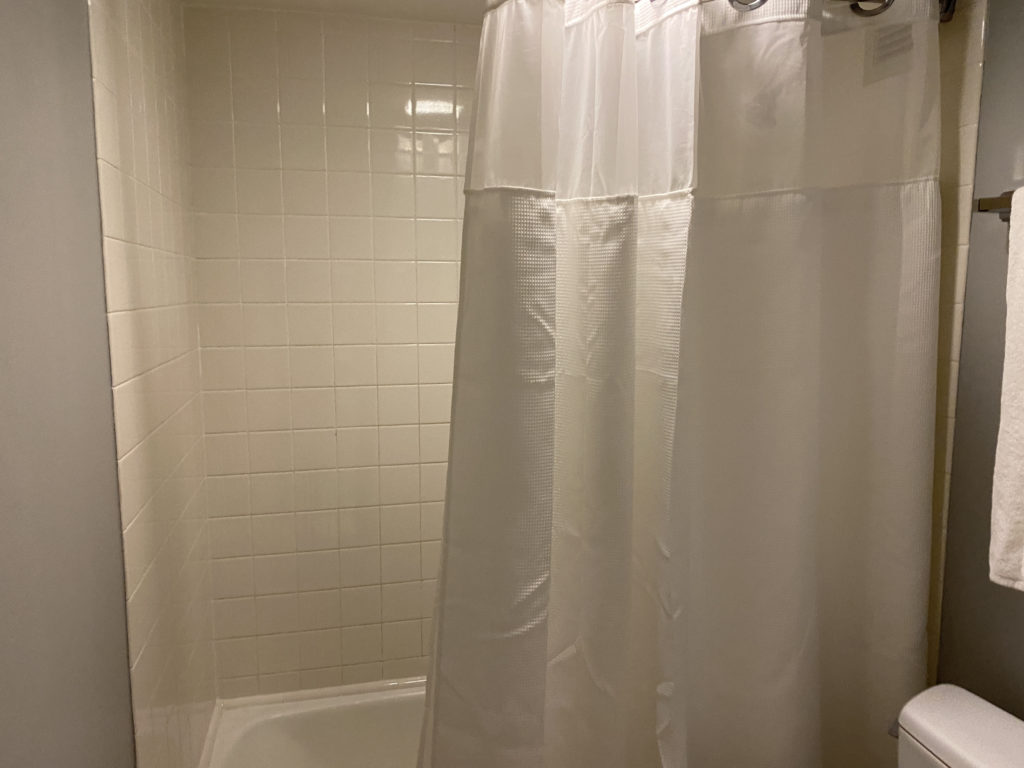 a shower curtain in a bathroom