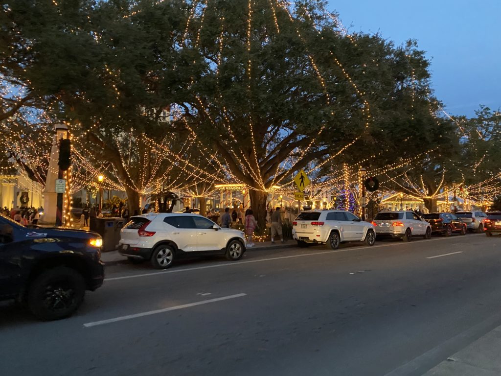 a row of trees with lights on the side