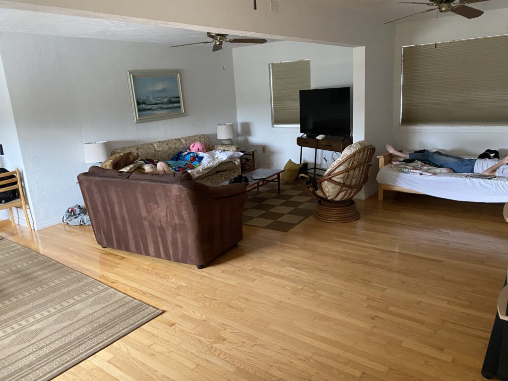 a room with a couch and a television