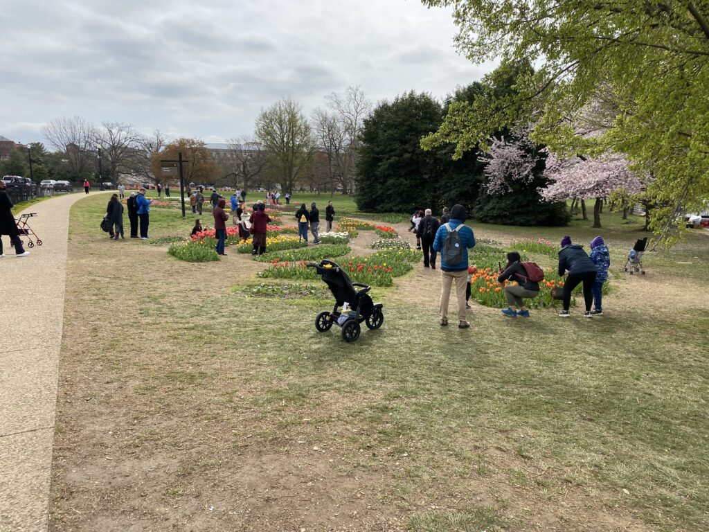 a group of people in a park