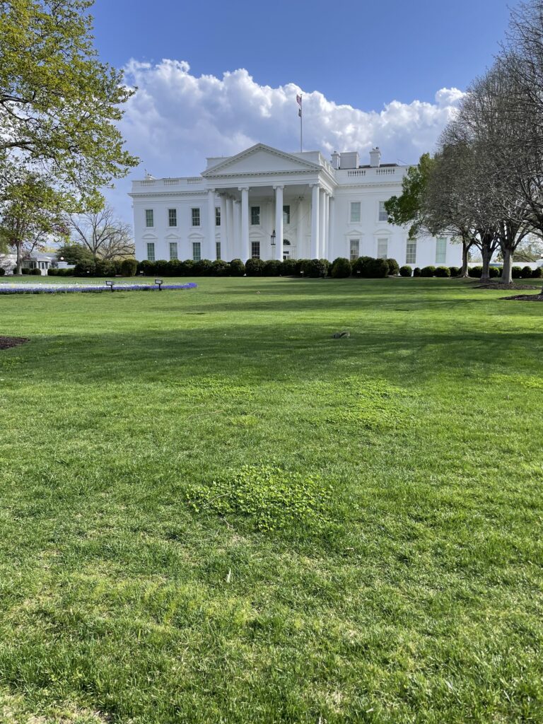 a white building with columns and a lawn
