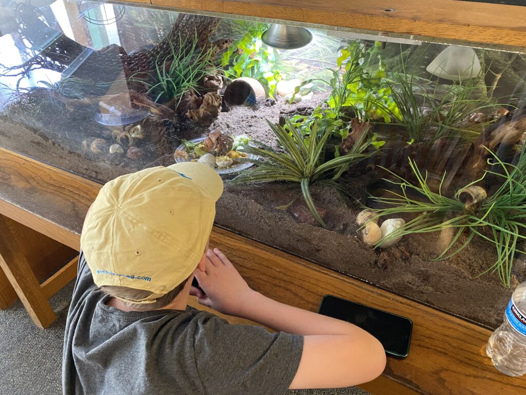 a boy looking at a fish tank
