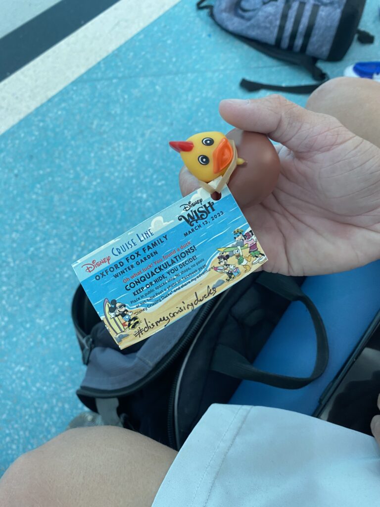 a hand holding a toy duck