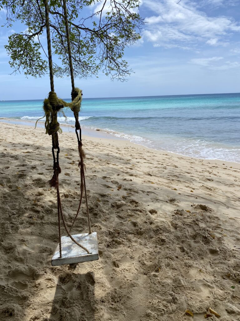 a swing on a beach