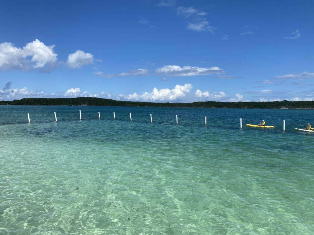 a person in a yellow kayak in the water