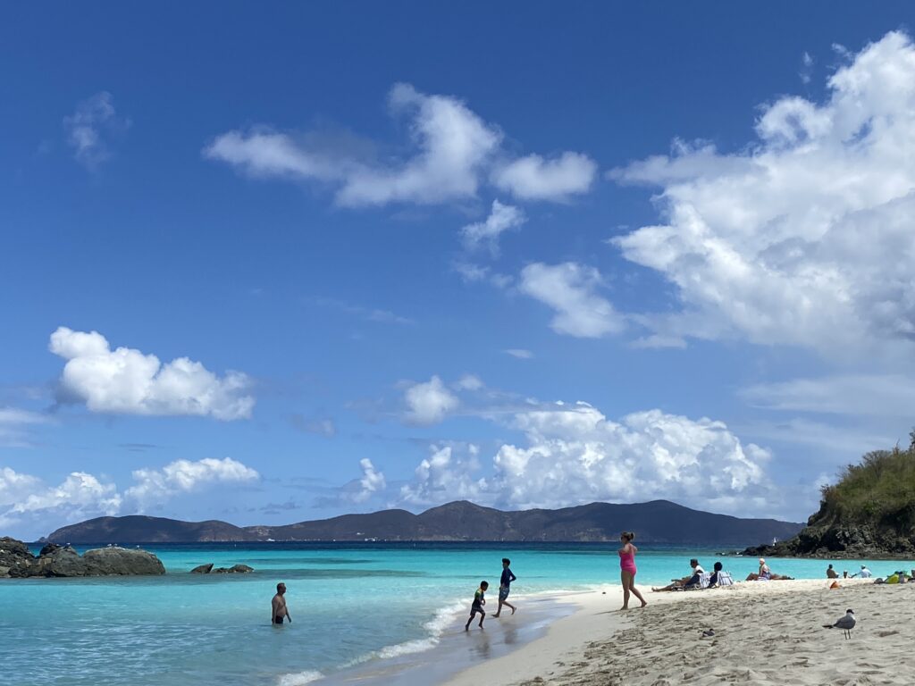 people on a beach
