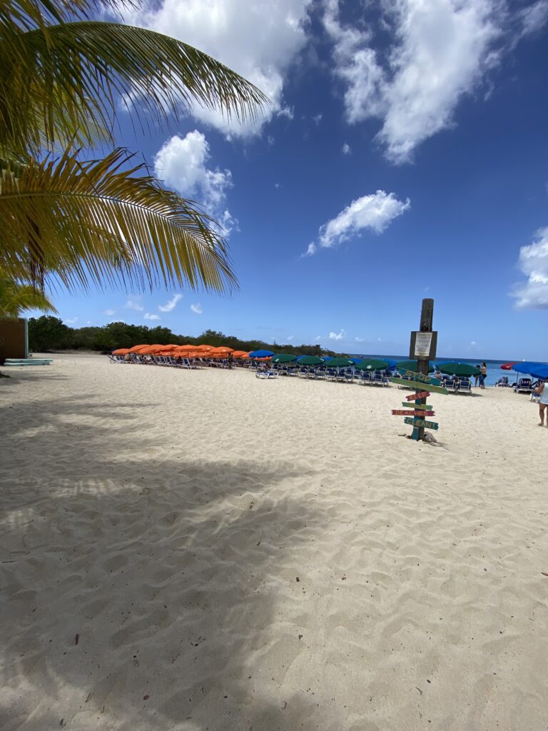 a beach with a group of people and umbrellas