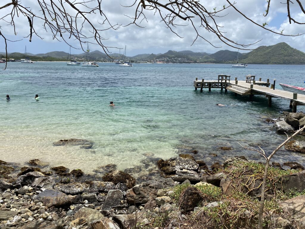 a person swimming in the water