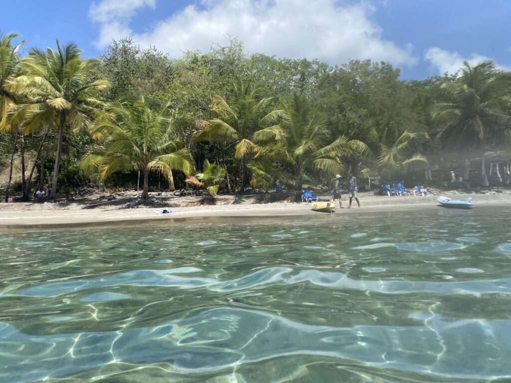 a body of water with trees and a beach