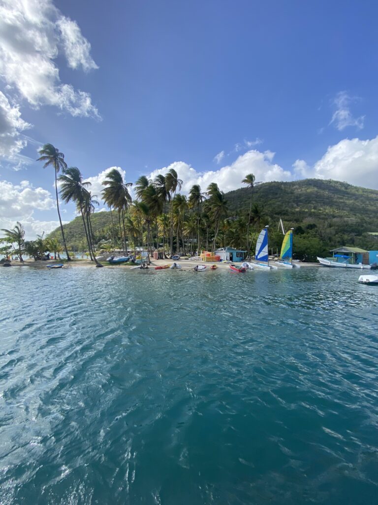 a body of water with boats and trees