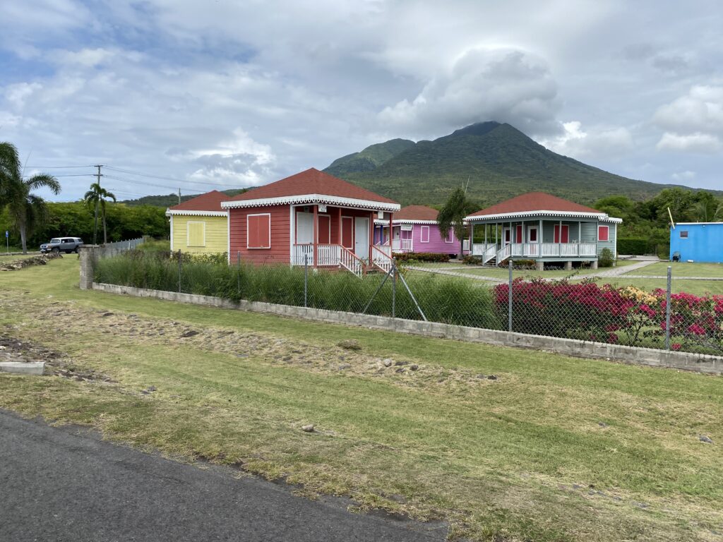 a row of houses with a fence and grass