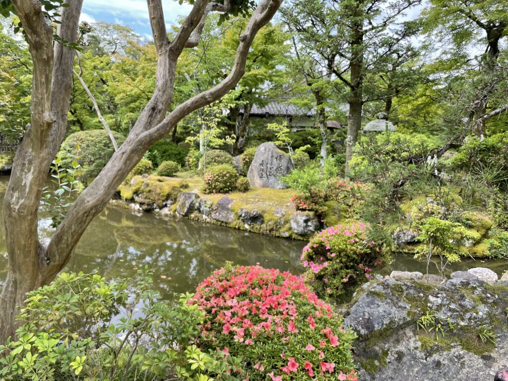 a pond with flowers and trees