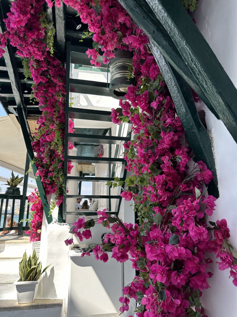 a white building with pink flowers on it