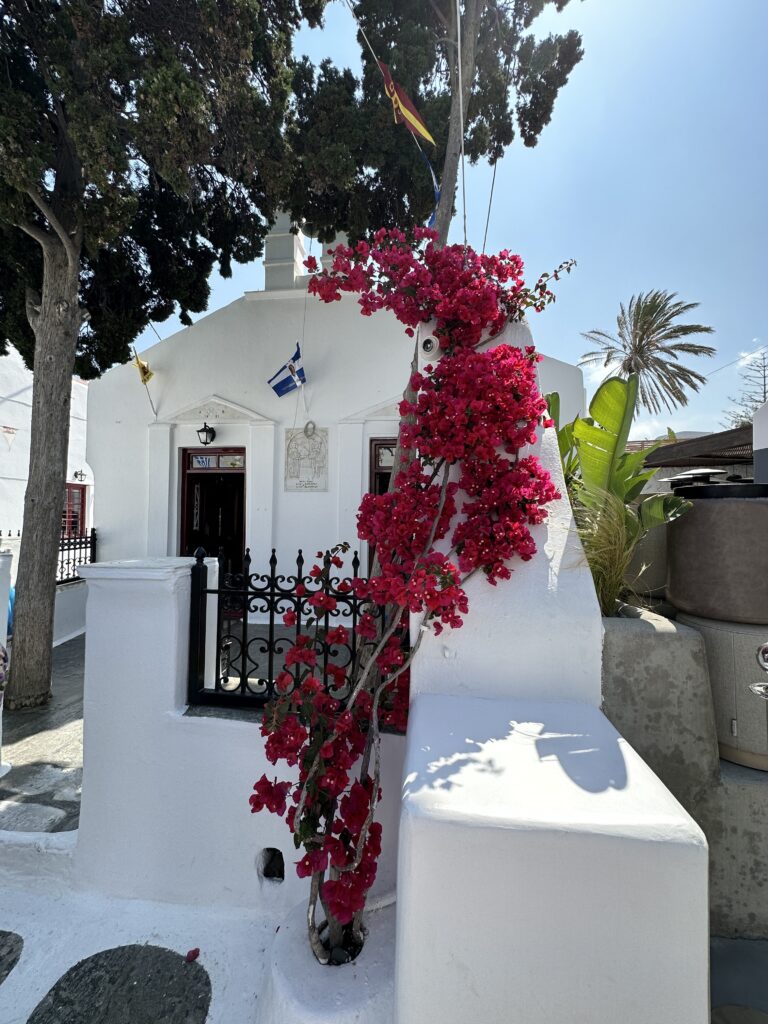 a white building with red flowers