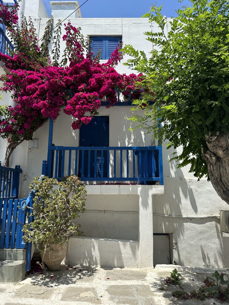 a house with blue railings and purple flowers