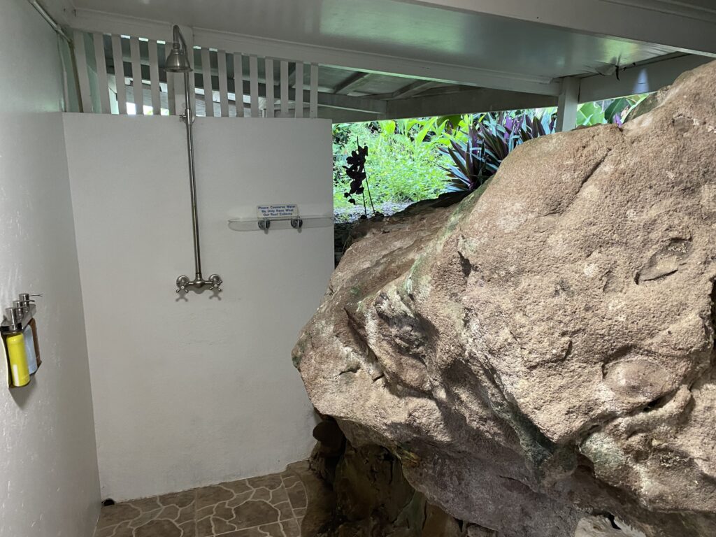 a shower with a large rock