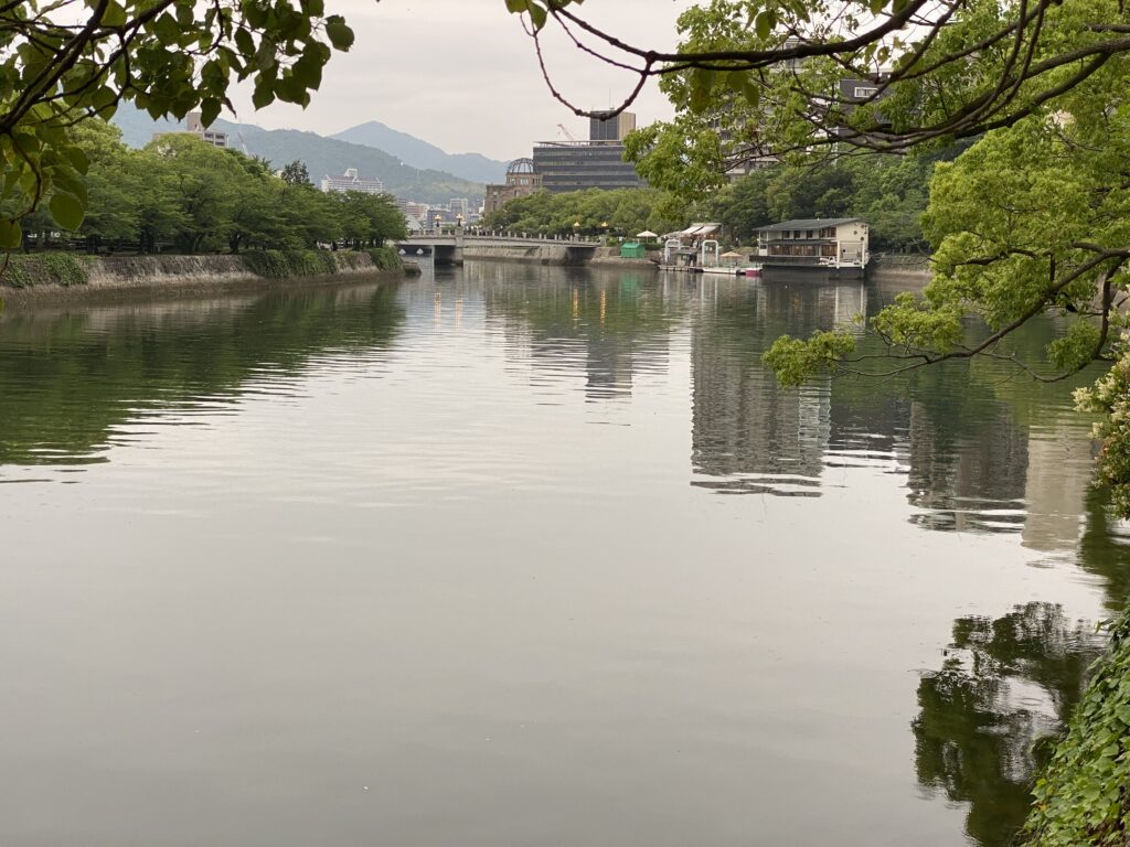 a body of water with trees and buildings in the background