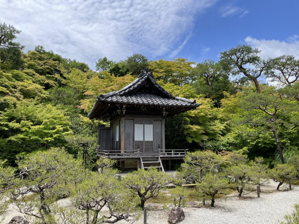 a small building in a forest