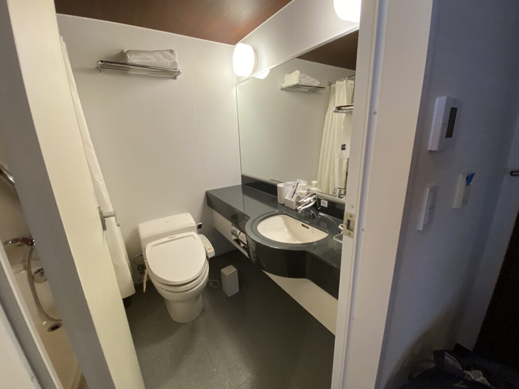 a bathroom with a sink and toilet