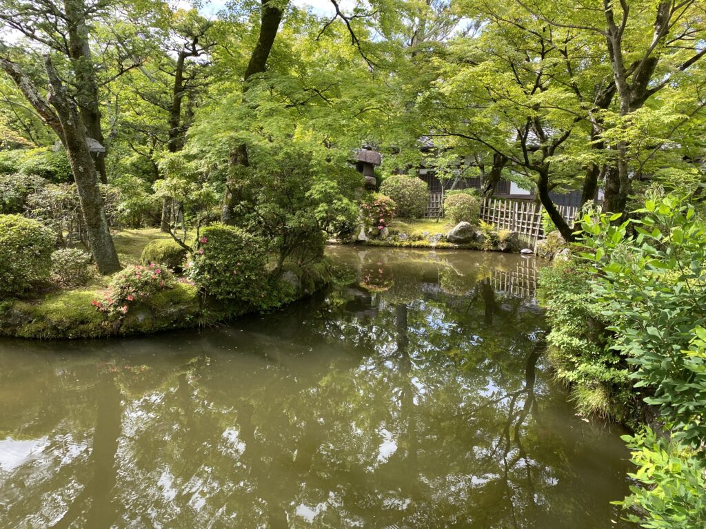 a pond surrounded by trees and bushes