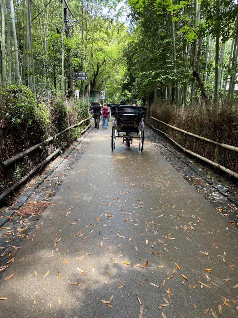 a horse carriage on a path with people walking