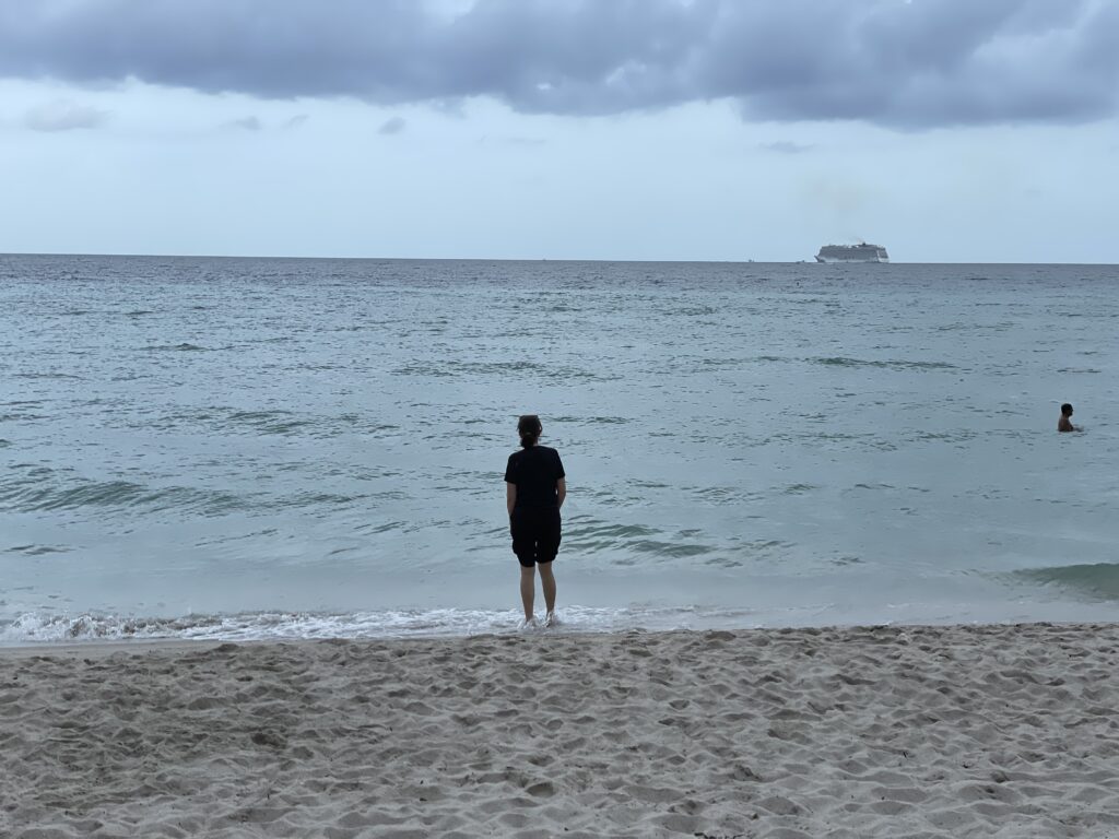 a person standing on a beach looking at the ocean
