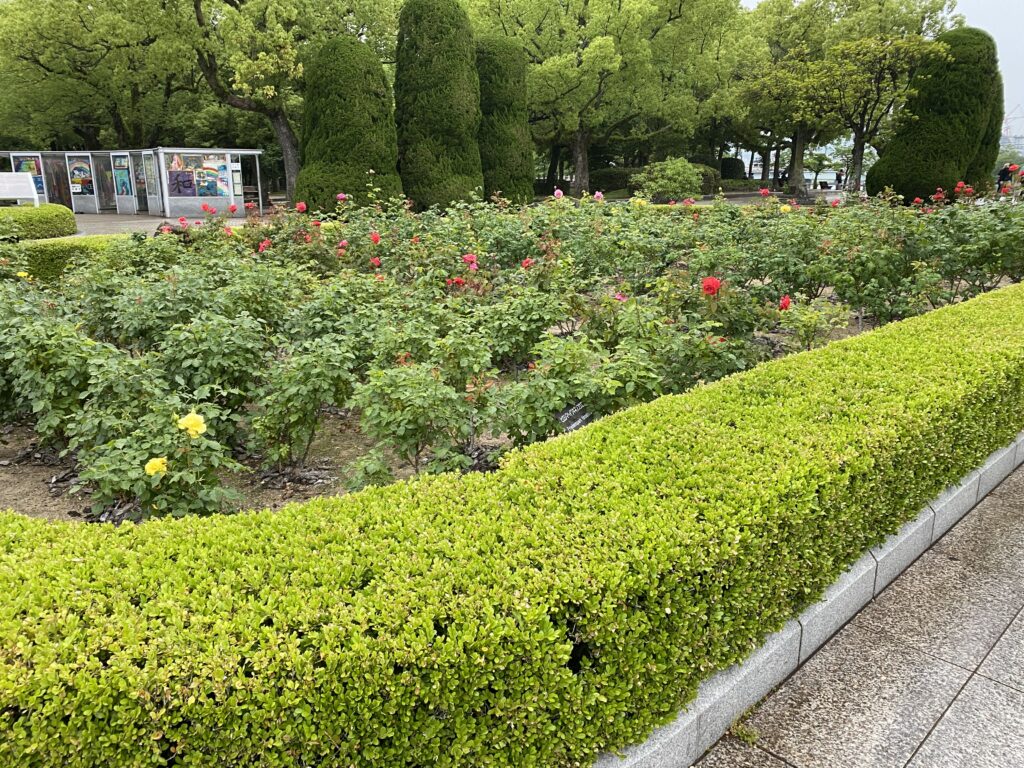 a garden with bushes and flowers