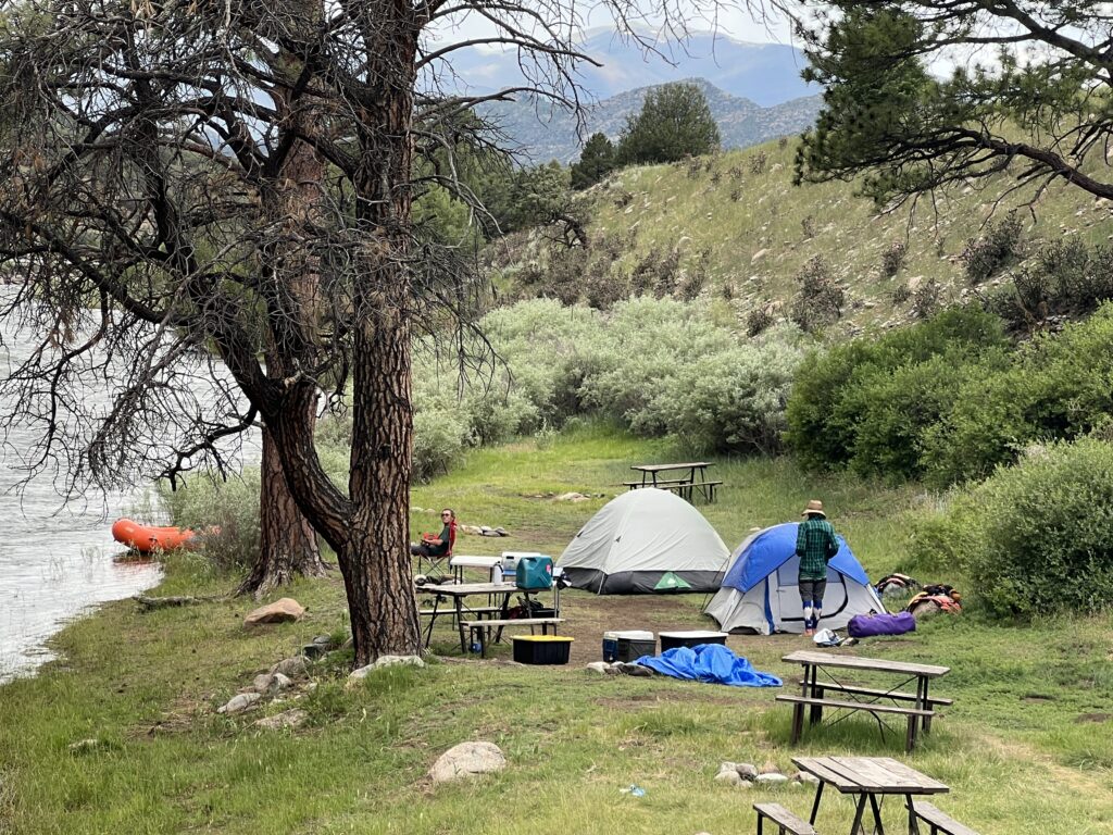 a group of tents and picnic tables in a grassy area