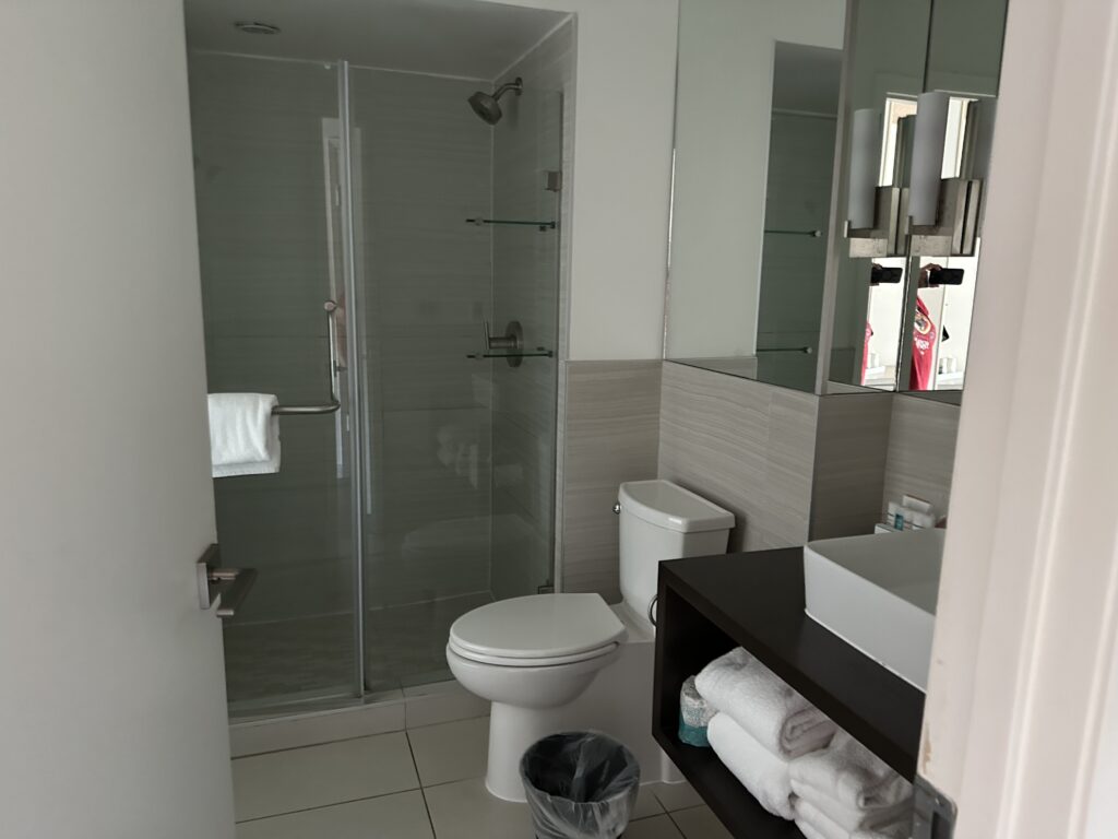 a bathroom with a shower and toilet