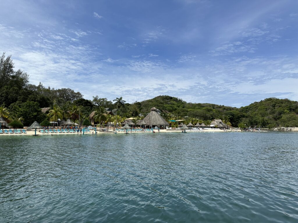 a body of water with a beach and trees