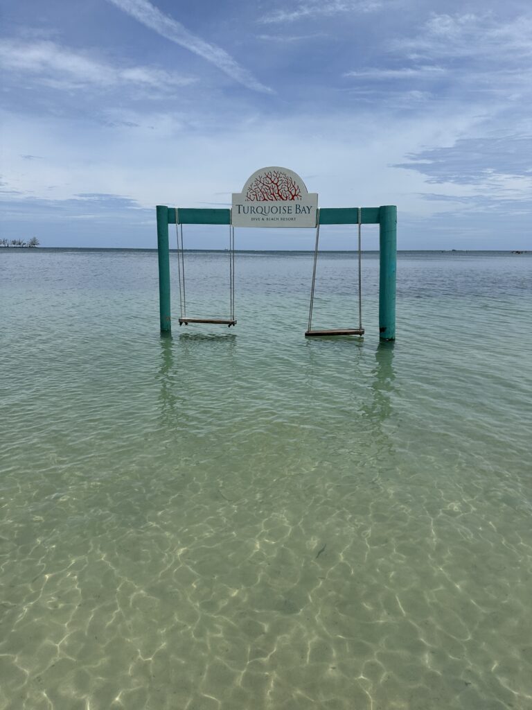 a swing in the water