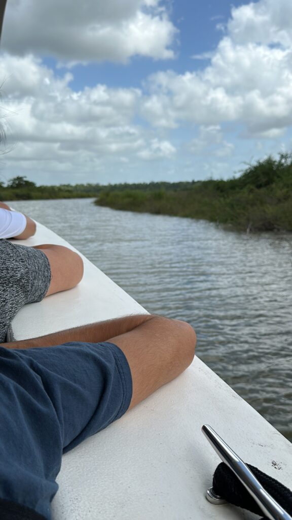a person leaning on a white railing overlooking a body of water