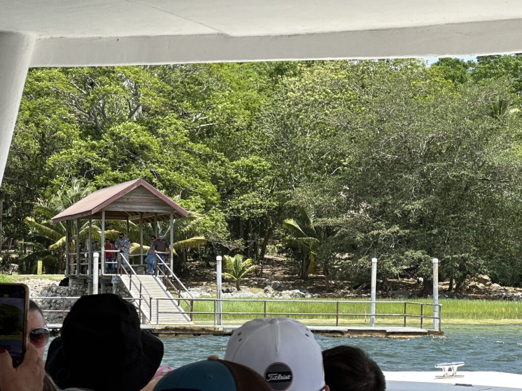 a group of people looking at a dock