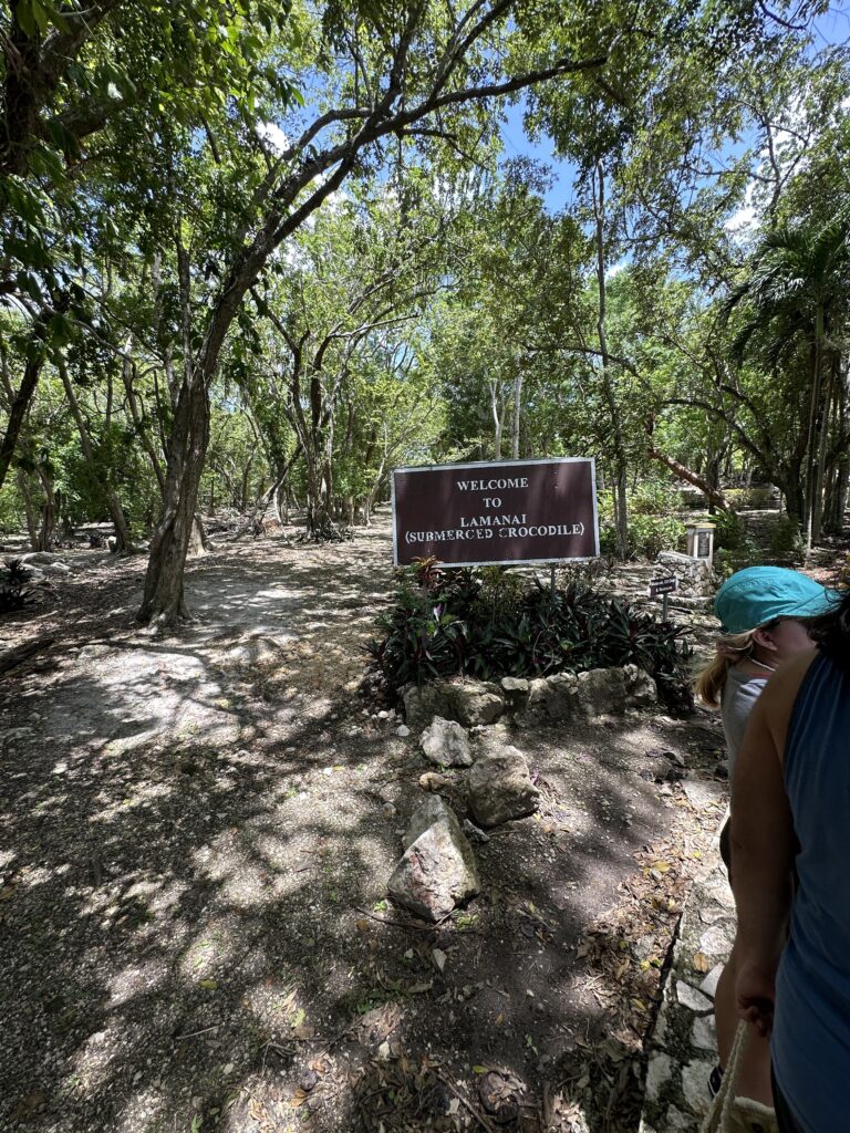 a sign in the woods