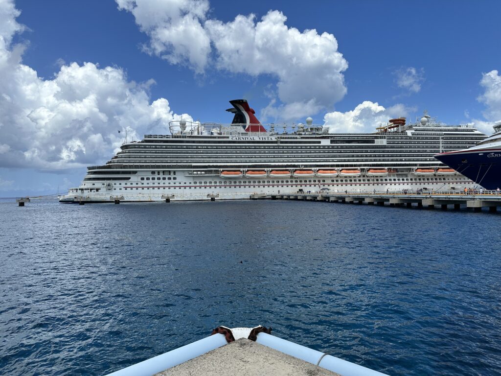 a cruise ship in the water