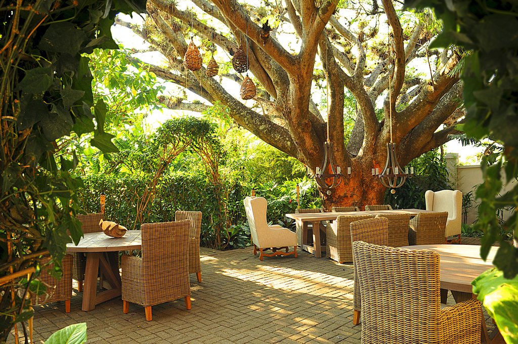 a patio with chairs and tables under a tree