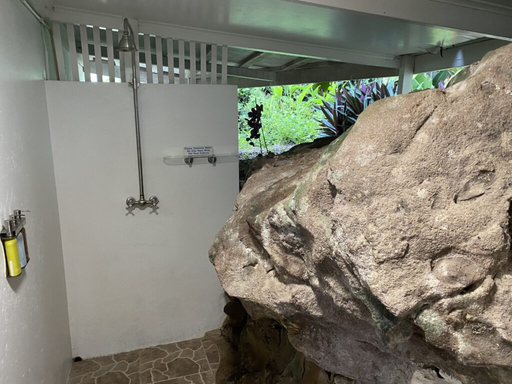 a shower with a large rock