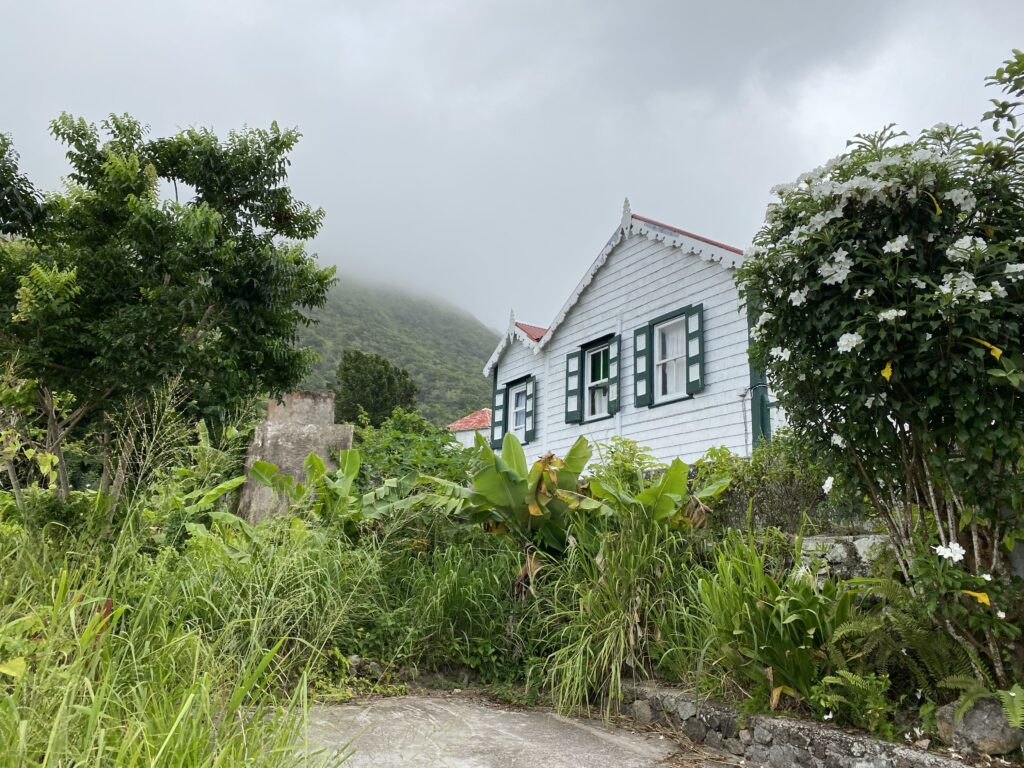 a house with plants around it