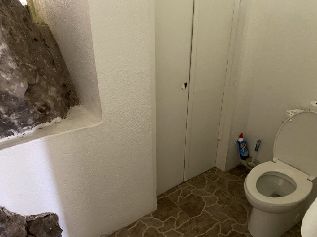 a bathroom with a toilet and a rock in the wall