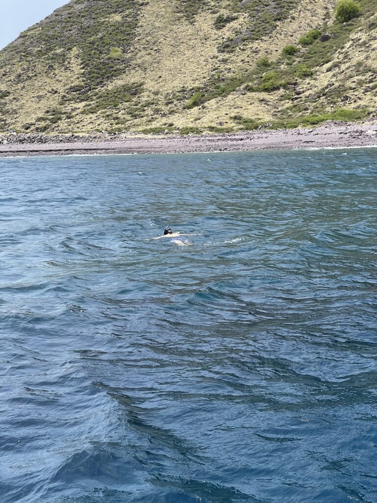 a person swimming in the water