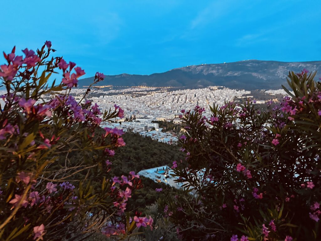 a view of a city from a hill